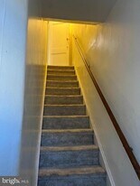 1630 Conlyn St in Philadelphia, PA - Building Photo