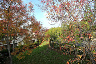 Greentree Terrace Apartments in Concord, CA - Building Photo - Building Photo