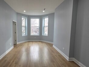 1520 S Christiana Ave in Chicago, IL - Building Photo - Building Photo