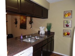 River Ranch Apartments in River Oaks, TX - Building Photo - Interior Photo