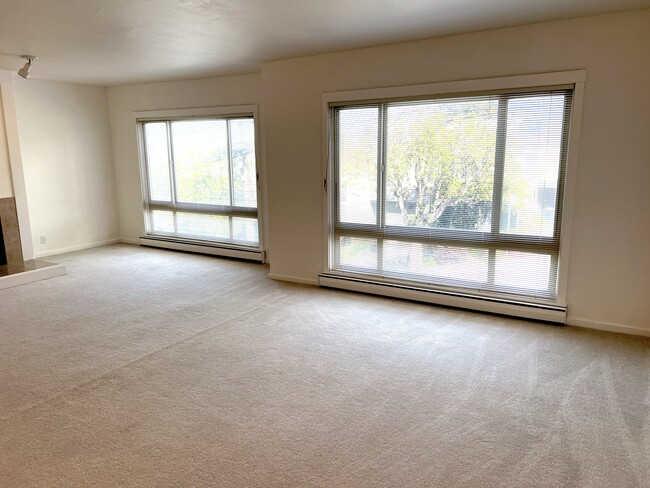 property at 460 Collingwood St