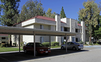 Orangewood Apartments in Loma Linda, CA - Foto de edificio - Building Photo