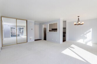 847 N Humboldt St in San Mateo, CA - Building Photo - Building Photo