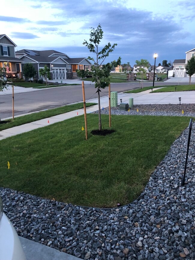 1033 Urial Dr in Severance, CO - Building Photo - Building Photo