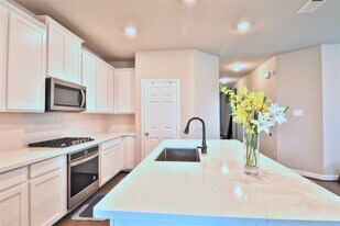 145 Sunray Creek Dr in Katy, TX - Building Photo