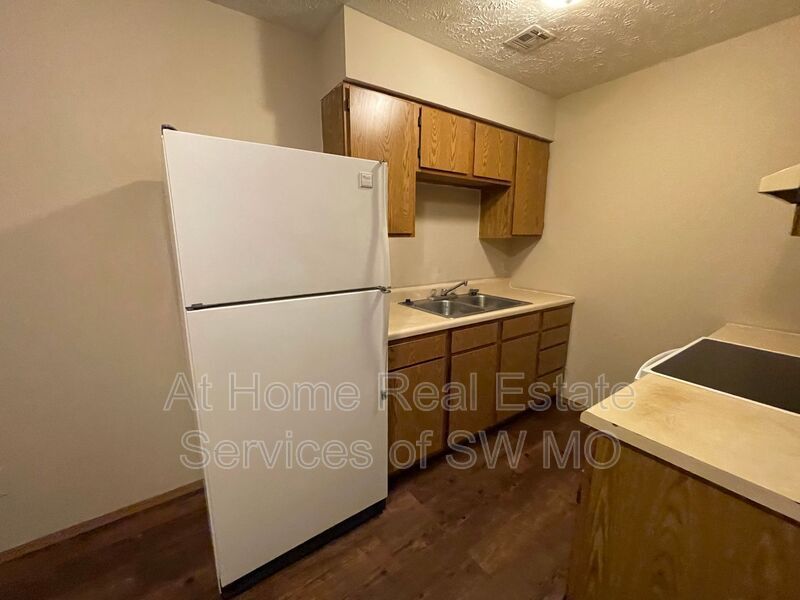 1306 E McDaniel St in Springfield, MO - Building Photo