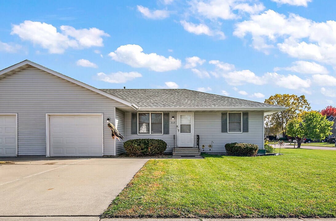 315 N School St in Diamond, IL - Building Photo