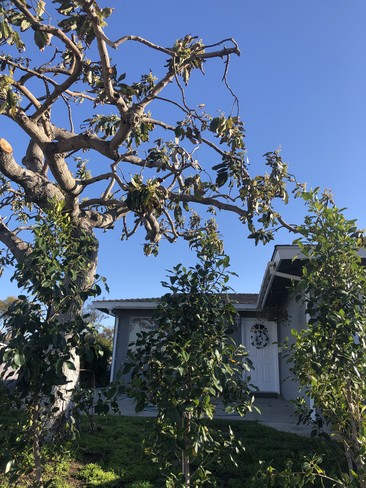 property at 2706 Gates Ave