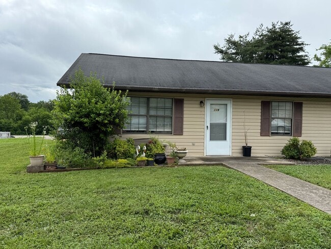 property at 119 Stone Tree Dr