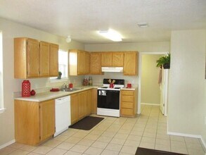 213 Bobbie Ann Ct in Granbury, TX - Building Photo - Building Photo