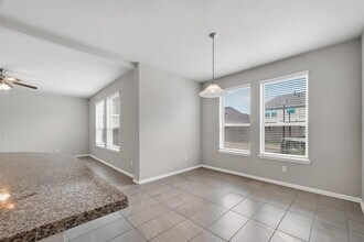 2903 Painted Sunrise Trail in Houston, TX - Building Photo - Building Photo