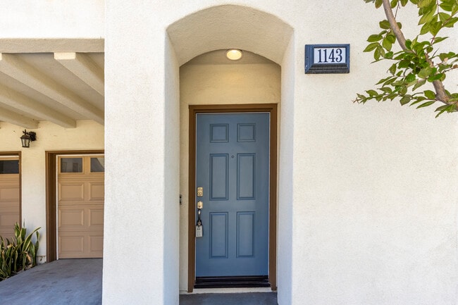 1143 Terracina Ln in San Diego, CA - Foto de edificio - Building Photo