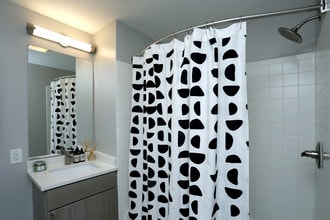 SoCam290 in New Brunswick, NJ - Building Photo - Interior Photo