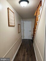 233 Molden Dr in Winchester, VA - Building Photo