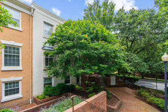 Ward Circle Condominiums in Washington, DC - Building Photo - Building Photo