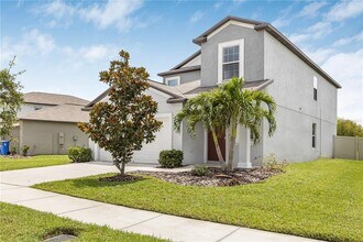 5149 White Chicory Dr in Ruskin, FL - Building Photo - Building Photo