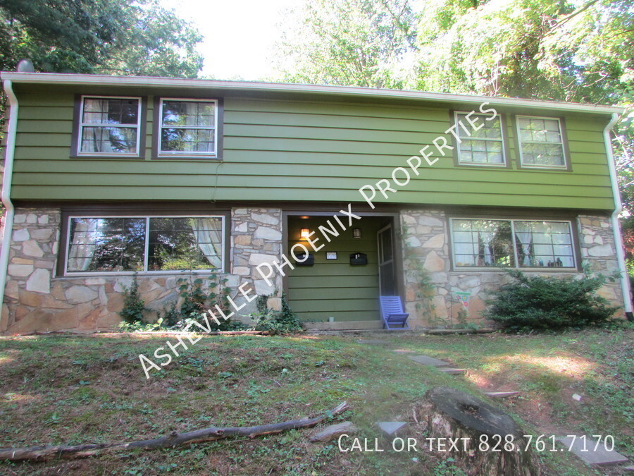 19 Dortch Ave in Asheville, NC - Building Photo