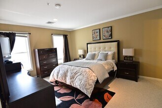 20 Cameron St in Brookline, MA - Building Photo - Building Photo