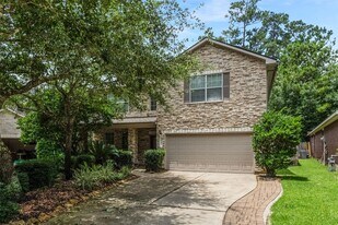 7 Ebony Oaks Pl in Spring, TX - Building Photo