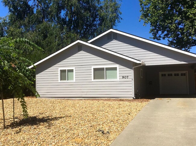 property at 907 Chestnut Ln
