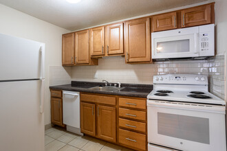 Dustin Street Apartments in Brighton, MA - Building Photo - Interior Photo