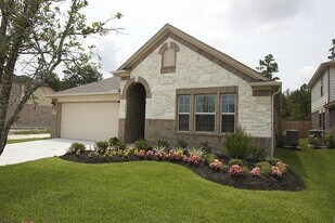 3742 Paladera Pl Ct in Spring, TX - Building Photo