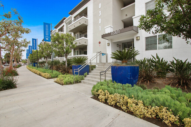 Madison Toluca in North Hollywood, CA - Foto de edificio - Building Photo