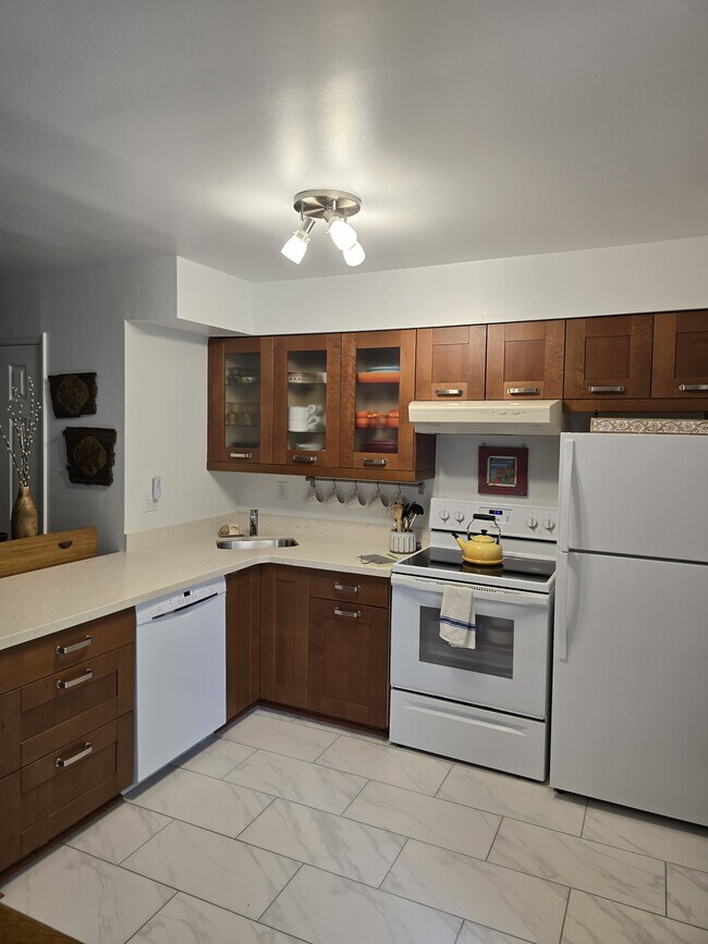 104 Friar Ln in Carrboro, NC - Building Photo - Building Photo