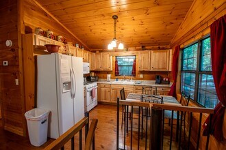 423 Laurel Creek Road in Blue Ridge, GA - Building Photo - Building Photo