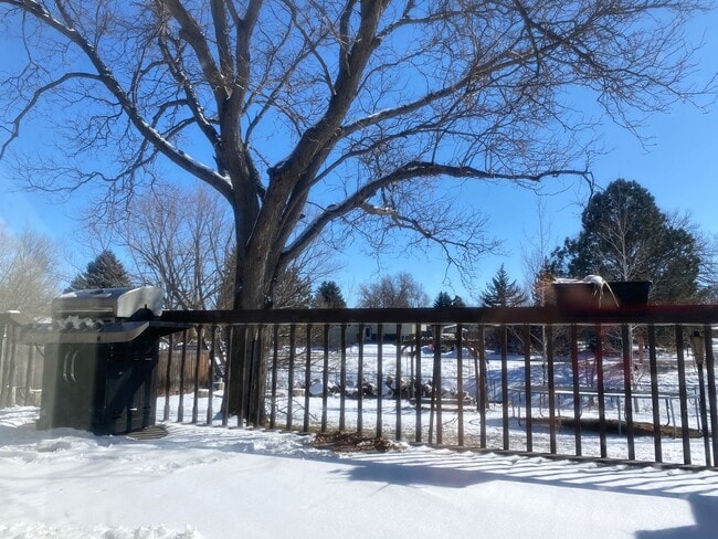 1171 Lefthand Dr in Longmont, CO - Building Photo - Building Photo