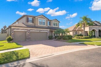 13319 Sunset Shore Cir in Riverview, FL - Building Photo - Building Photo