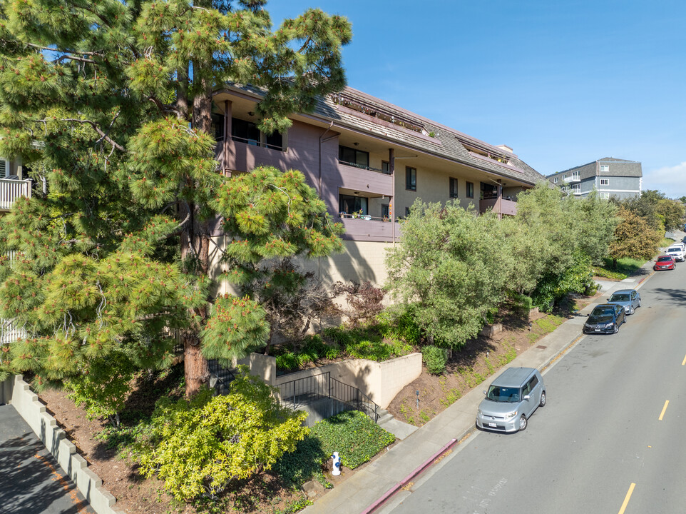 Park Terrace in Belmont, CA - Building Photo