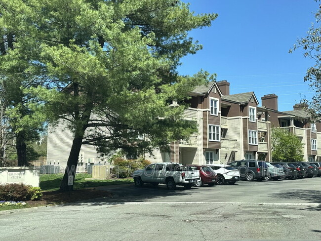 property at 281 Hillsboro Pl
