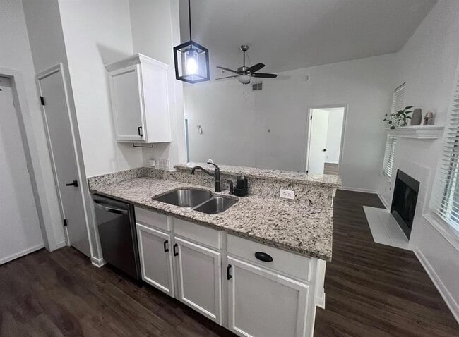 221 Dashelle Run in Kyle, TX - Building Photo - Building Photo