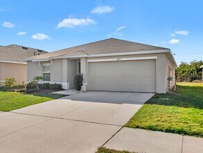 16771 Carlton Pond St in Wimauma, FL - Building Photo - Building Photo