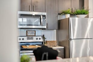 Halo 46:  Off-Campus Student Housing in Tampa, FL - Building Photo