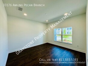 33176 Amling Pecan Br in Wesley Chapel, FL - Building Photo - Building Photo