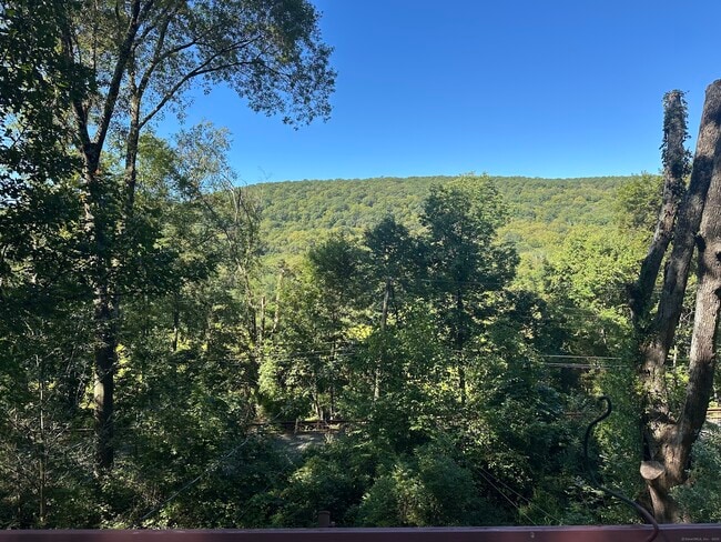 404 Nettleton Hollow Rd in Washington, CT - Building Photo - Building Photo