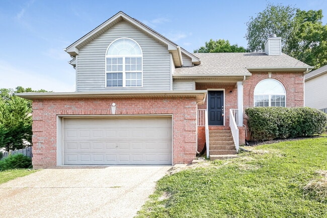 property at 1513 Mt Mitchell Ct