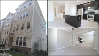 24698 Lynette Spgs Ter in Aldie, VA - Building Photo