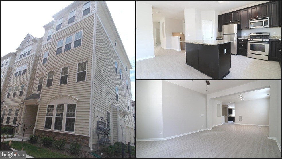 24698 Lynette Spgs Ter in Aldie, VA - Building Photo