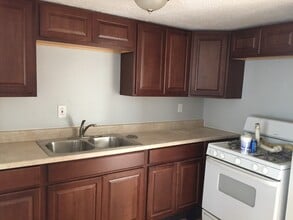 611 W Madison St, Unit 1 in Pontiac, IL - Building Photo - Building Photo