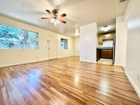 313 W 1st Ave in Chico, CA - Building Photo