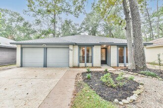 20 Tulip Hill Ct in Spring, TX - Building Photo - Building Photo