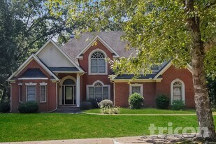 1081 Crown River Pkwy in Mcdonough, GA - Building Photo