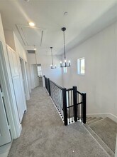 1313 Eureka Spgs St in Prosper, TX - Foto de edificio - Building Photo