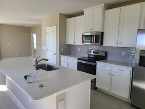 10013 Daybreak Glen in Duette, FL - Building Photo - Building Photo