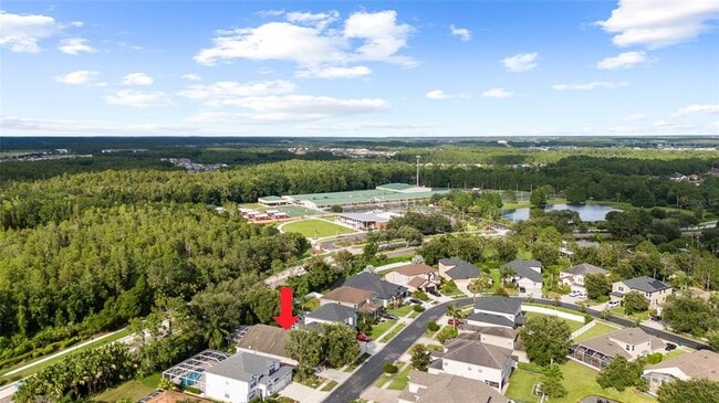 27417 Silver Thatch Dr in Wesley Chapel, FL - Building Photo - Building Photo