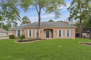 27241 Wells Ln in Conroe, TX - Building Photo