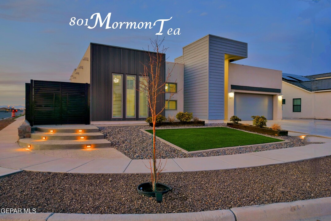 801 Mormon Tea Dr in Socorro, TX - Building Photo